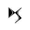 DS Icon